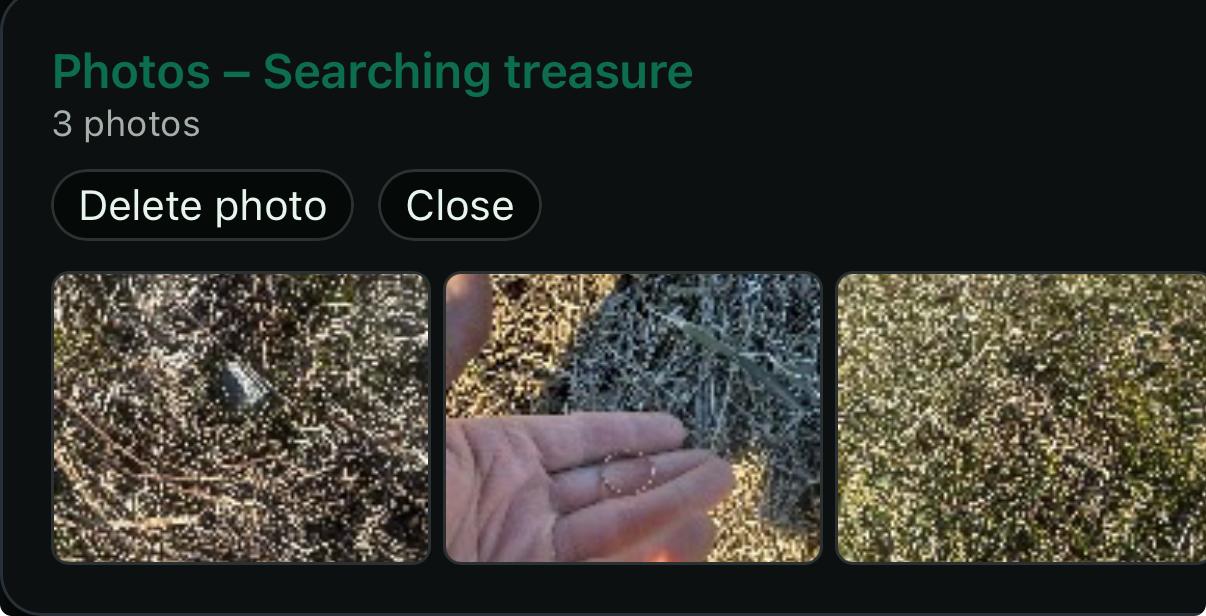 Detector find documentation with photos in GeoDetectit